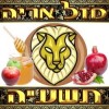 Lion Horoscope Hashanah Tashah